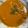 クック25FJ6B☆'s cooksnap of when they made インド人直伝！バターチキン・インドカレー.