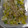 クックHIYL6I☆'s cooksnap of when they made 簡単◎白菜ともやしの丸鶏ごまナムル.