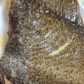 がちゃぴんママ☆'s cooksnap of when they made ひらめの煮付け.