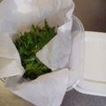 ひっこ's cooksnap of when they made 【話題入り】長持ち新鮮♪大葉の保存法.