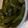 あゆたっくん's cooksnap of when they made 茎わかめの酢の物✿.