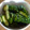 ﾋﾟﾛﾐ♡'s cooksnap of when they made 簡単！きゅうりのぬか漬け.