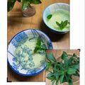 ルぴあ's cooksnap of when they made スッキリ爽やかミントティー♪.