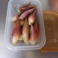 ひっこ's cooksnap of when they made 水で簡単☆シャキシャキみょうがの保存方法.