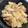 mht☆'s cooksnap of when they made 大根と手羽中の煮込み.