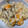 lala5's cooksnap of when they made しらすの炊き込み御飯.