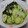 まつりんぐ's cooksnap of when they made きゅうりとわかめのナムル.