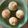 みるく茶's cooksnap of when they made レーズン✿シュクレ✿パン.