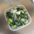 拓斗ここな's cooksnap of when they made きゅうりの浅漬け~お酢で日持ちアップ~.