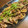 バウチャン's cooksnap of when they made ☆シャキシャキ蓮根と豚肉の簡単甘辛炒め☆.