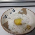 小山のレオポン's cooksnap of when they made 秋の味覚♫簡単くりごはん♡.