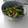 すがいあきお's cooksnap of when they made 簡単　万願寺ししとうとこんにゃくの炒め物.
