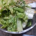 ちぃちゃん31513's cooksnap of when they made やみつきレタスチョレギサラダ🥗.