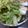 ちぃちゃん31513's cooksnap of when they made やみつきレタスチョレギサラダ🥗.
