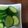 sunujiro's cooksnap of when they made ポリ袋で1分きゅうりの浅漬け〜柚子胡椒味.