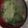 あゆたっくん's cooksnap of when they made 青梗菜と葱の味噌汁.
