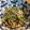 ふじこ's cooksnap of when they made 豆苗のサバ缶納豆サラダ.