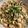 86Hina's cooksnap of when they made 手打ちパスタ～オレキエッテ～.