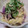 ☆はるママ☆'s cooksnap of when they made ☆ナスとツナの簡単副菜☆.