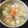 クックS076PG☆'s cooksnap of when they made 石狩鍋.