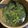 みゅう's cooksnap of when they made 焼肉屋さんのワカメスープ♪.
