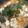 ますとー's cooksnap of when they made 簡単！節約！なのに本格派　もやしの坦々鍋.