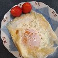 めぐぴーみかん's cooksnap of when they made ライスペーパーでガレット.