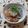 ﾁｲﾁｬﾝﾏﾏ's cooksnap of when they made 簡単#梅おろしそば.
