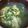 クックM96XDX☆'s cooksnap of when they made セロリの葉と卵の中華スープ.
