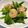 ちゅにを's cooksnap of when they made 春＊菜の花と海老のﾆﾝﾆｸゆず胡椒炒め.