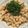 TeaChan214's cooksnap of when they made ☆絶品明太子パスタ☆.