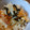 ばたみそーぱん☆'s cooksnap of when they made 炊き込みご飯＊甘塩鮭と油揚げの生姜風味.
