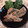 Koyumi1111's cooksnap of when they made 今が旬 ニシンの唐揚げ.