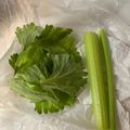 ポークの嫁's cooksnap of when they made セロリの冷凍保存.