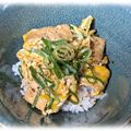 えぞりす しっぽ's cooksnap of when they made 衣笠丼(お揚げと青ネギの丼).