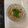 akoママクック's cooksnap of when they made ∽∽うちのタコ飯∽∽.