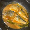 mrtmy♡'s cooksnap of when they made 塩さばだから簡単★鯖の味噌煮.