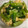 マミー’Sキッチン！'s cooksnap of when they made 小松菜とたまごの胡麻和え.