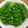 LOVEのこ's cooksnap of when they made スナップえんどう🌱筋とり✨ゆで方🎶開き方.