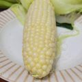クックM96XDX☆'s cooksnap of when they made とうもろこしは皮ごと簡単レンジでチン！.