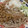 ﾌﾞﾚﾝﾀﾞ's cooksnap of when they made おろし蕎麦(福井県ver).