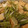 ☆angel's cooksnap of when they made 旬の優しい味わい♪若ごぼうと厚揚げの煮物.