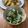 ミアンミアン's cooksnap of when they made 白だしde水菜と豆腐サラダ+しらす＊.