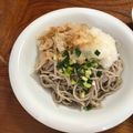 Ruriluru's cooksnap of when they made 福井県、越前おろしぶっかけ蕎麦！.