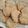 aromatico's cooksnap of when they made 大さじだけで計量！オートミールクッキー.