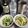 ebipeco's cooksnap of when they made 日本酒の炭酸水割り.