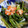 ちくわ君's cooksnap of when they made 海老とワケギののぬた和え.