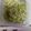 クック8C0Q1Q☆'s cooksnap of when they made もやしとキュウリの中華風和え.