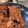 じゅんのすけ＊'s cooksnap of when they made ＨＢ★しっとりココアミルク食パン.