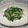 QPはにー's cooksnap of when they made 水菜の胡麻和え.